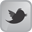 twit