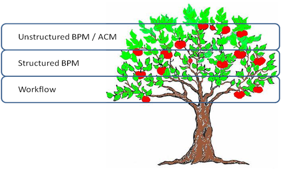 BPM tree