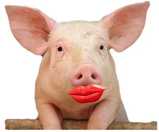 lipstick on a bpm pig